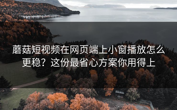 蘑菇短视频在网页端上小窗播放怎么更稳？这份最省心方案你用得上