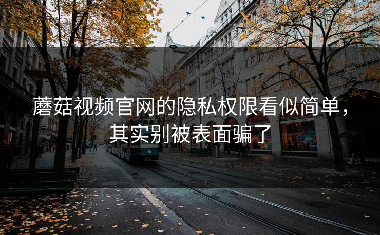 蘑菇视频官网的隐私权限看似简单，其实别被表面骗了