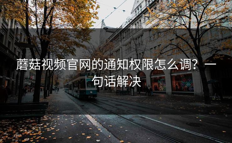 蘑菇视频官网的通知权限怎么调？一句话解决