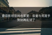 蘑菇影视官网在家里：音量与亮度手势别再乱试了