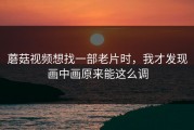 蘑菇视频想找一部老片时，我才发现画中画原来能这么调