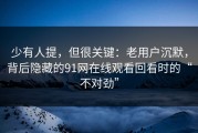 少有人提，但很关键：老用户沉默，背后隐藏的91网在线观看回看时的“不对劲”