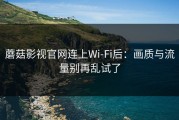 蘑菇影视官网连上Wi‑Fi后：画质与流量别再乱试了
