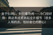 关于91网1，别只看热闹——冷门但好用：用这条线索串起全片细节（很多人骂的点，恰好是它的野心）