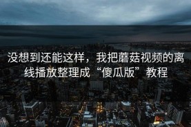 没想到还能这样，我把蘑菇视频的离线播放整理成“傻瓜版”教程