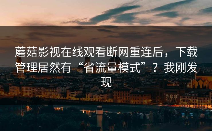 蘑菇影视在线观看断网重连后，下载管理居然有“省流量模式”？我刚发现