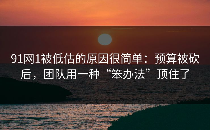 91网1被低估的原因很简单:预算被砍后,团队用一种“笨办法”顶住了 91网1被低估的原因很简单:预算被砍后,团队用一种“笨办法”顶住了