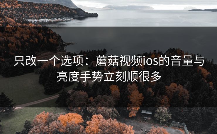 只改一个选项：蘑菇视频ios的音量与亮度手势立刻顺很多