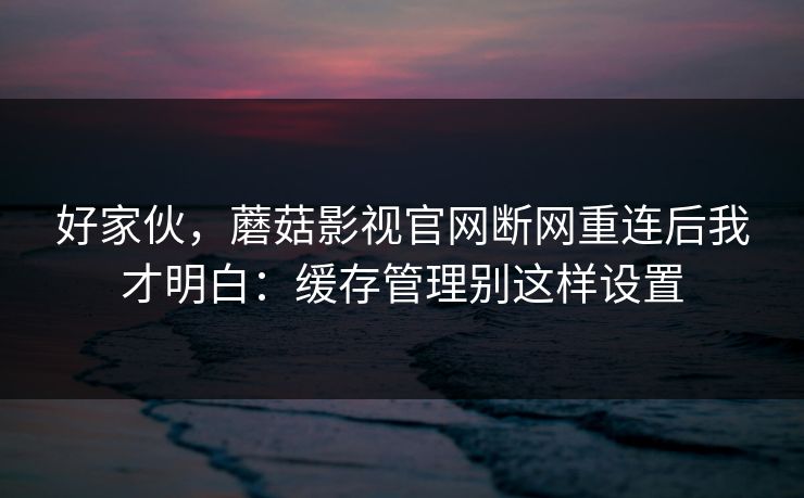 好家伙，蘑菇影视官网断网重连后我才明白：缓存管理别这样设置