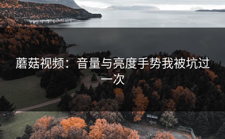 蘑菇视频：音量与亮度手势我被坑过一次