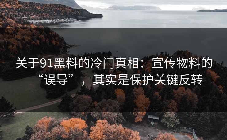关于91黑料的冷门真相：宣传物料的“误导”，其实是保护关键反转