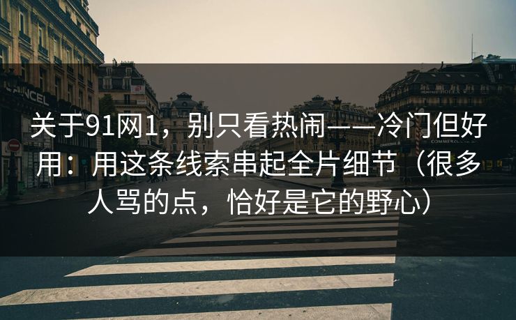 关于91网1，别只看热闹——冷门但好用：用这条线索串起全片细节（很多人骂的点，恰好是它的野心）