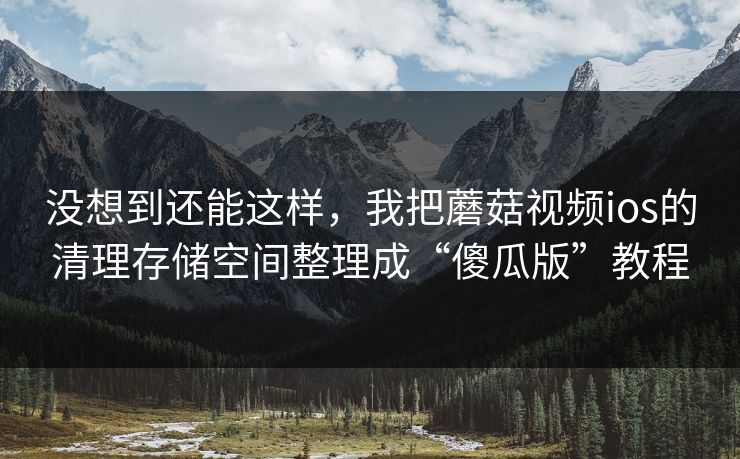 没想到还能这样，我把蘑菇视频ios的清理存储空间整理成“傻瓜版”教程