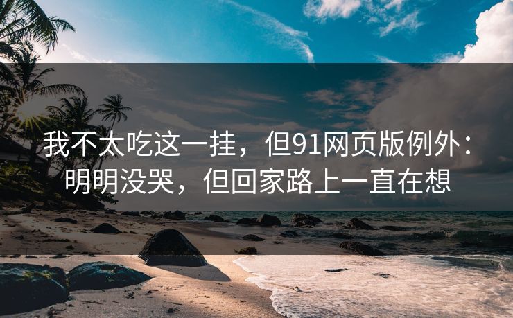 我不太吃这一挂，但91网页版例外：明明没哭，但回家路上一直在想